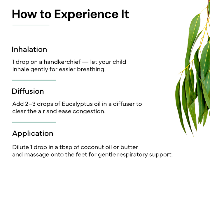 Eucalyptus Essential Oil