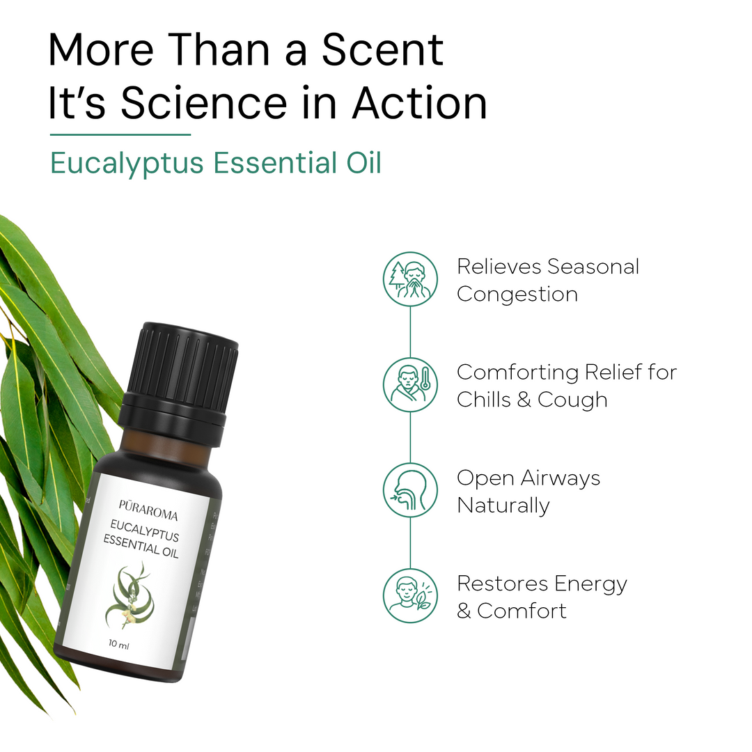 Eucalyptus Essential Oil