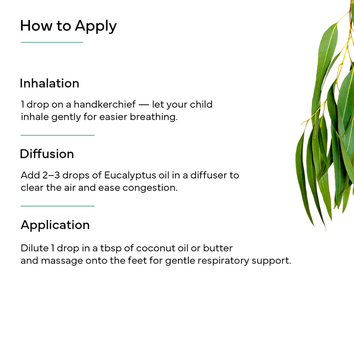 Eucalyptus Essential Oil