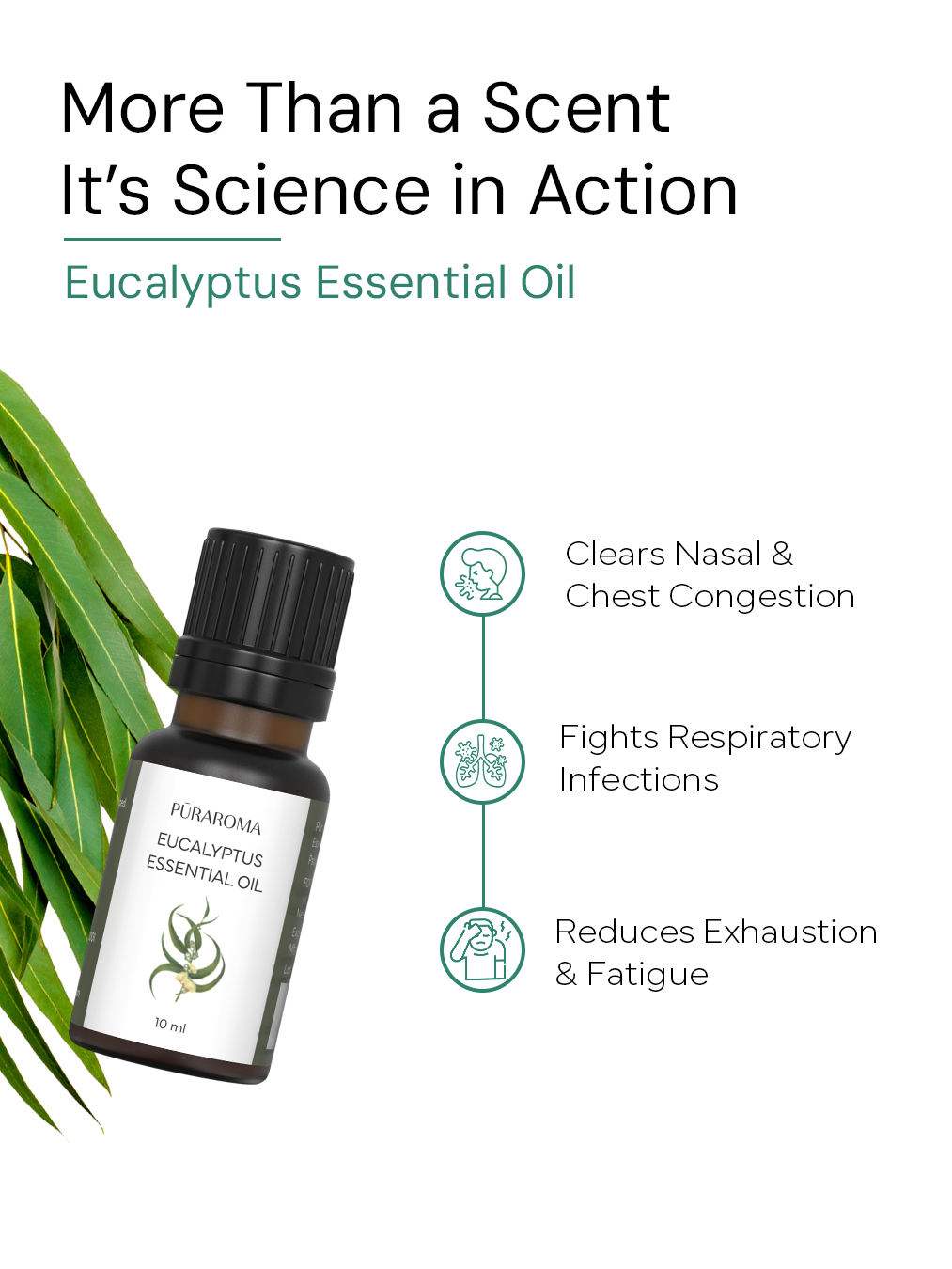 Aromatherapy Essentials Kit
