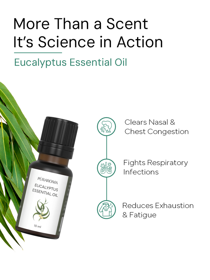 Aromatherapy Essentials Kit