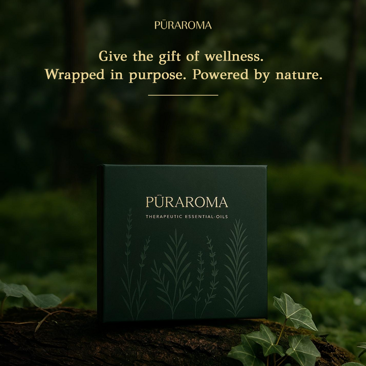 Aromatherapy Essentials Kit