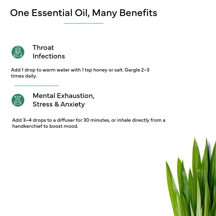 Lemongrass Essential Oil