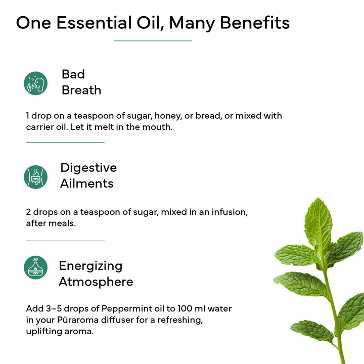 Peppermint Essential Oil