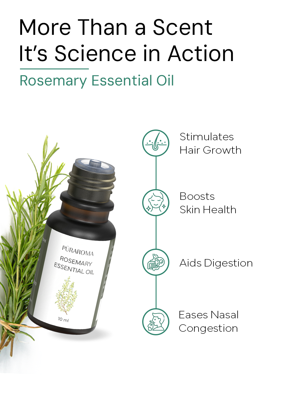 Aromatherapy Essentials Kit