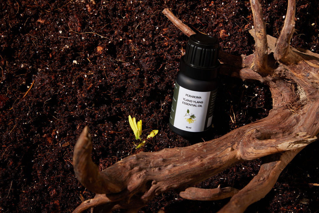 Ylang Ylang Essential Oil