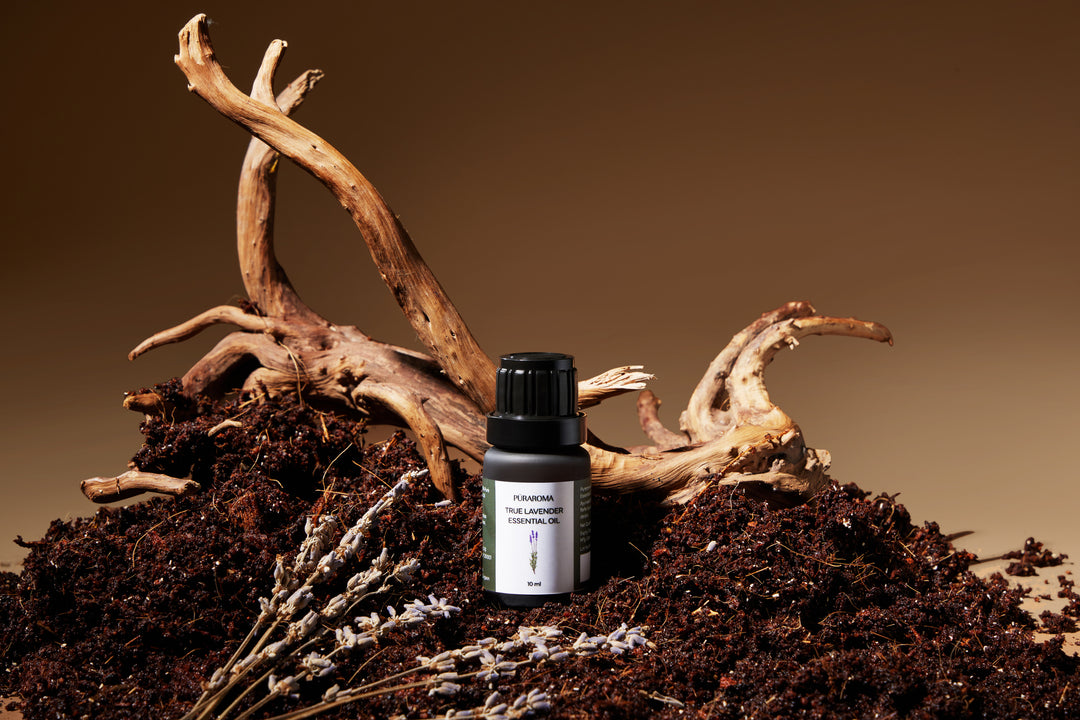 True Lavender Essential Oil