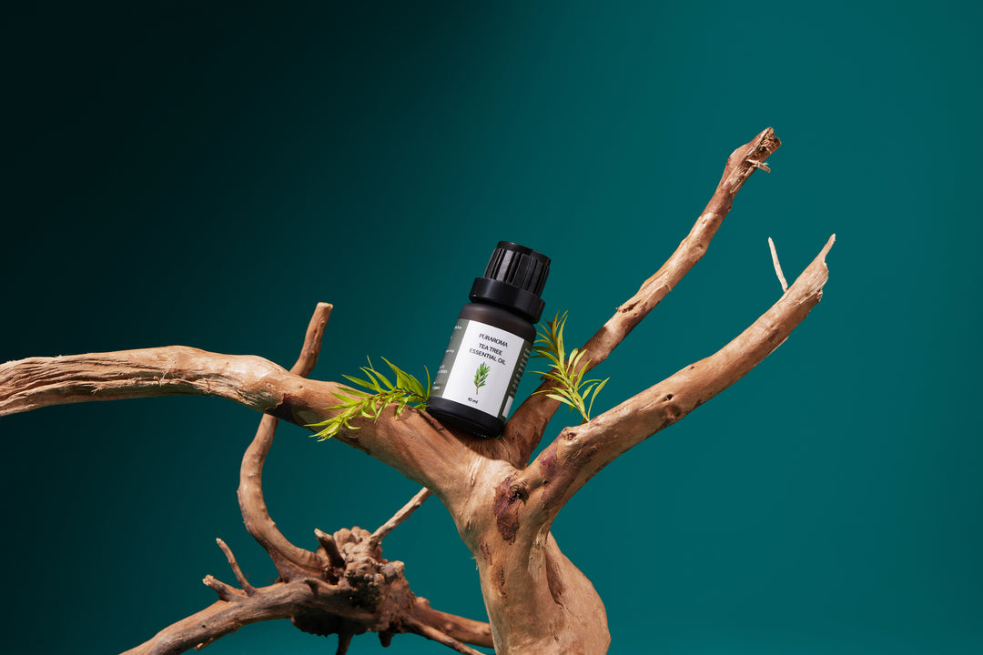 Tea Tree Essential Oil