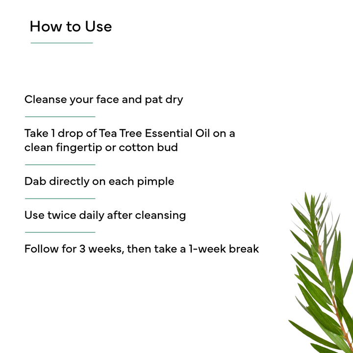 Tea Tree Essential Oil