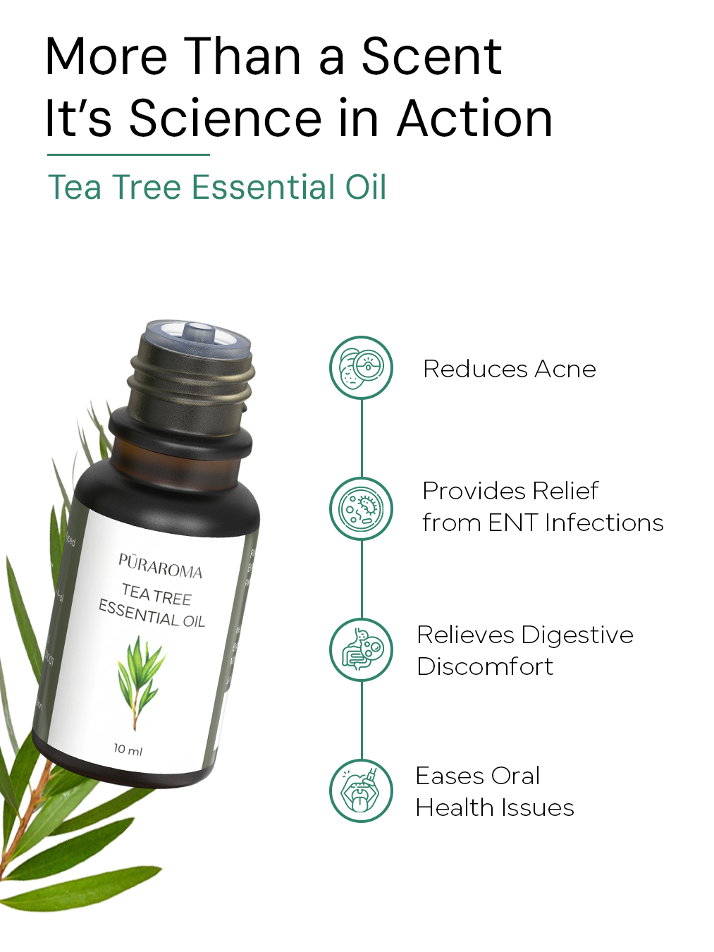 Aromatherapy Essentials Kit