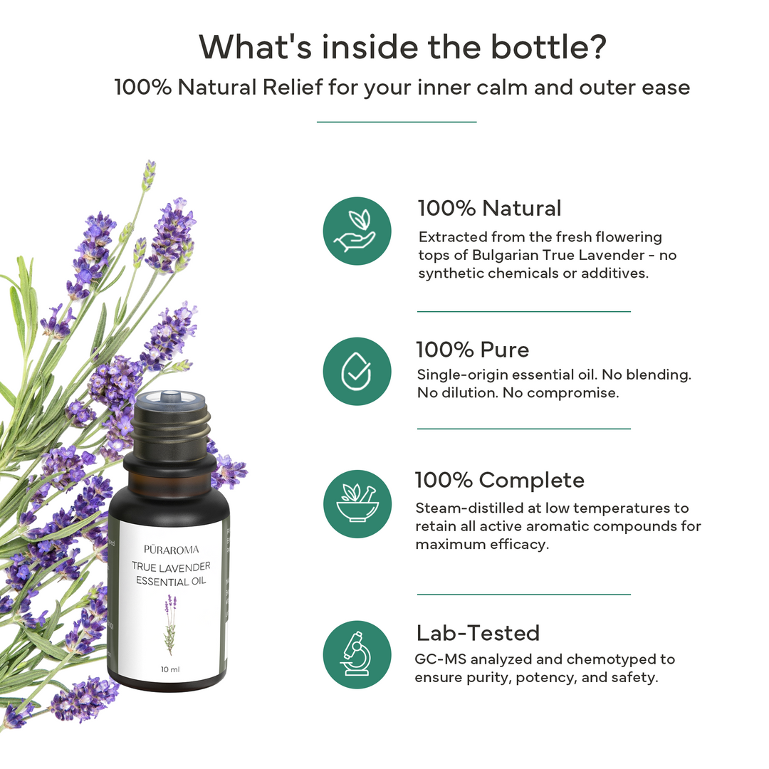 True Lavender Essential Oil