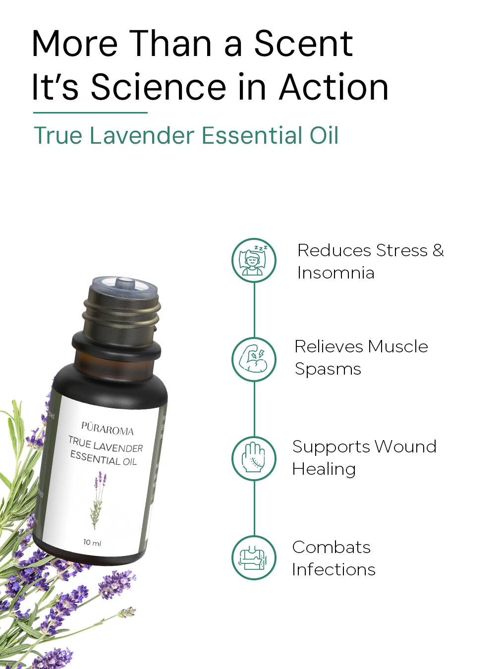 Aromatherapy Essentials Kit