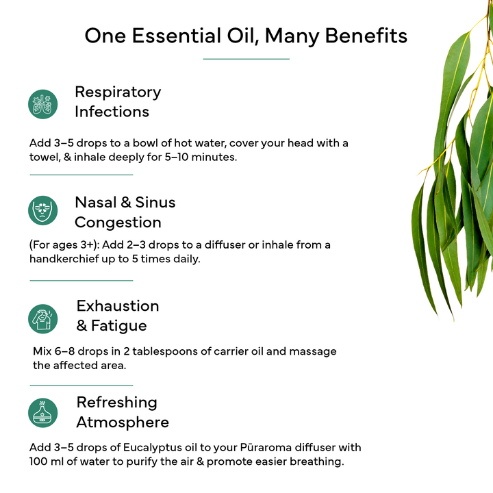 Eucalyptus Essential Oil