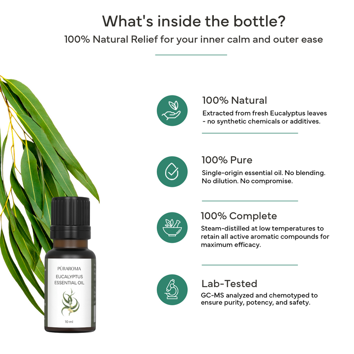 Eucalyptus Essential Oil