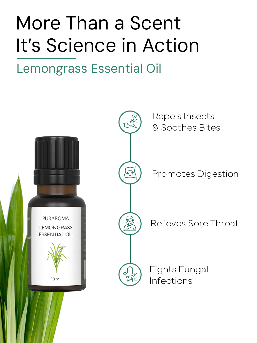 Aromatherapy Essentials Kit