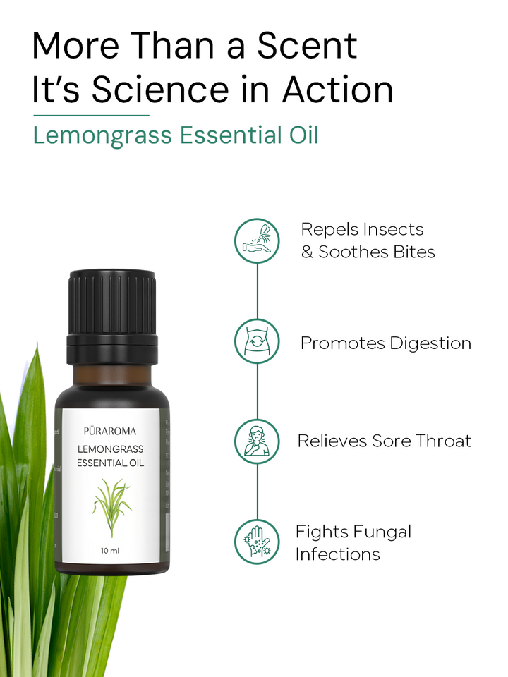 Aromatherapy Essentials Kit