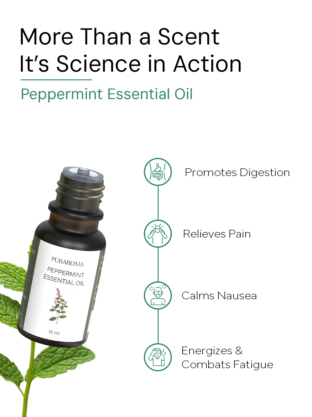 Aromatherapy Essentials Kit