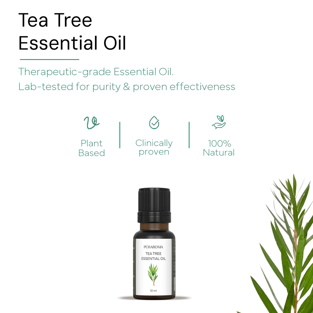 Tea Tree | Antibacterial Powerhouse in Skincare – Puraroma