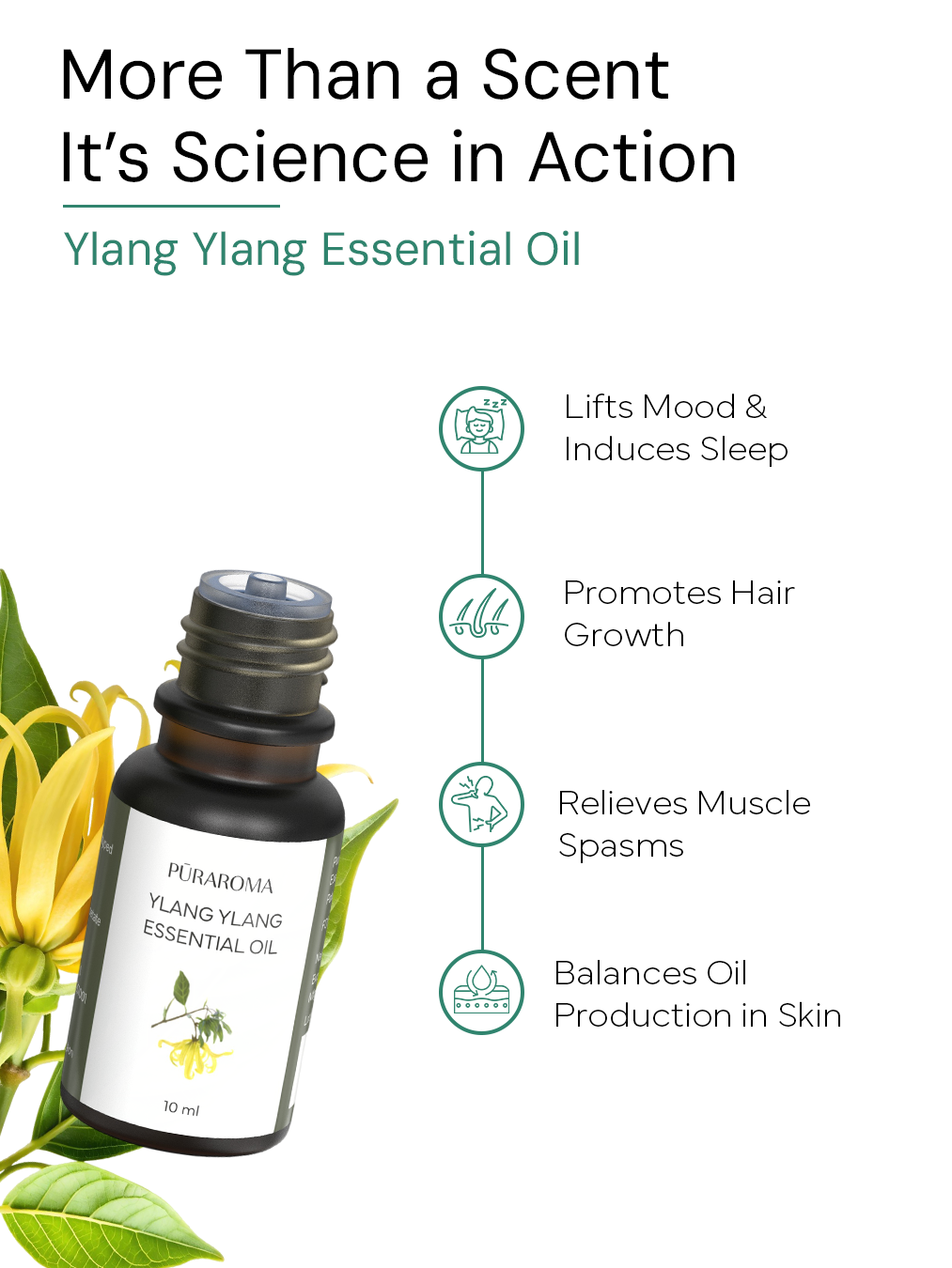 Aromatherapy Essentials Kit