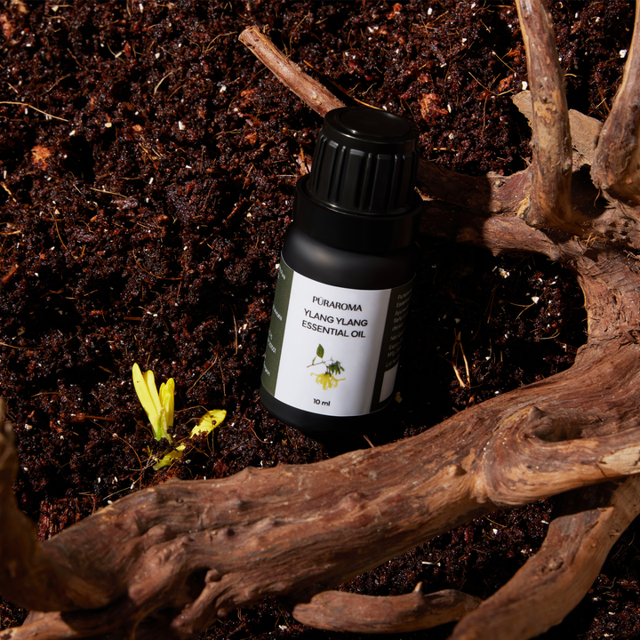 Ylang Ylang Essential Oil